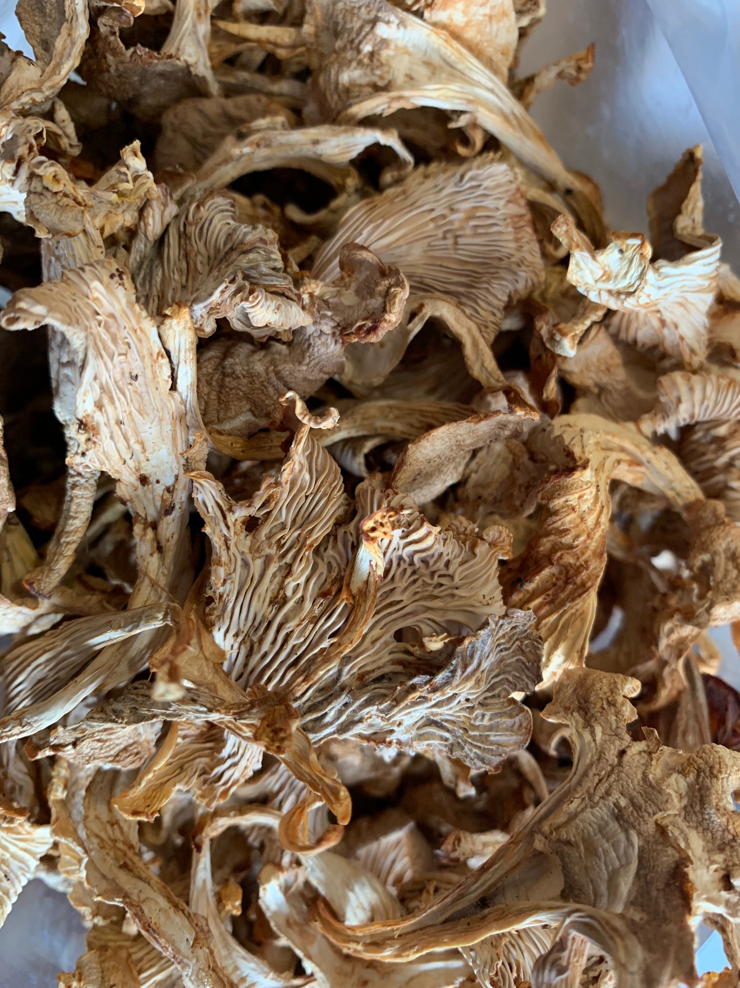 Dried wild chanterelle mushrooms - Diversified Farm
