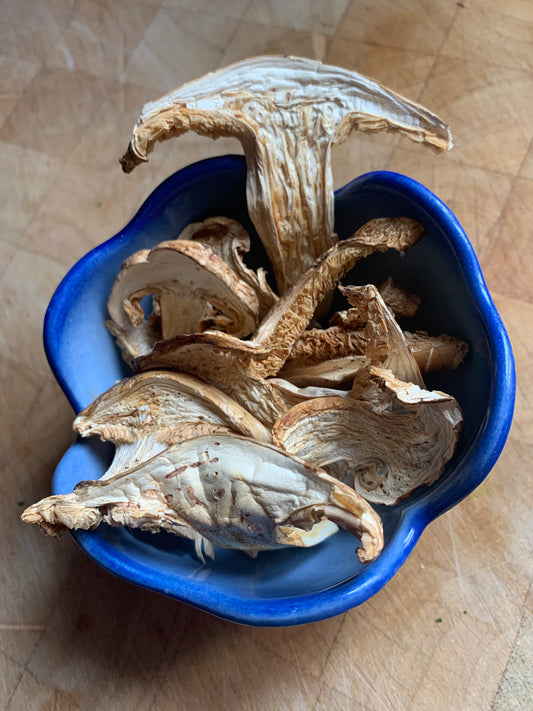 Dried wild matsutake mushroom - Diversified Farm
