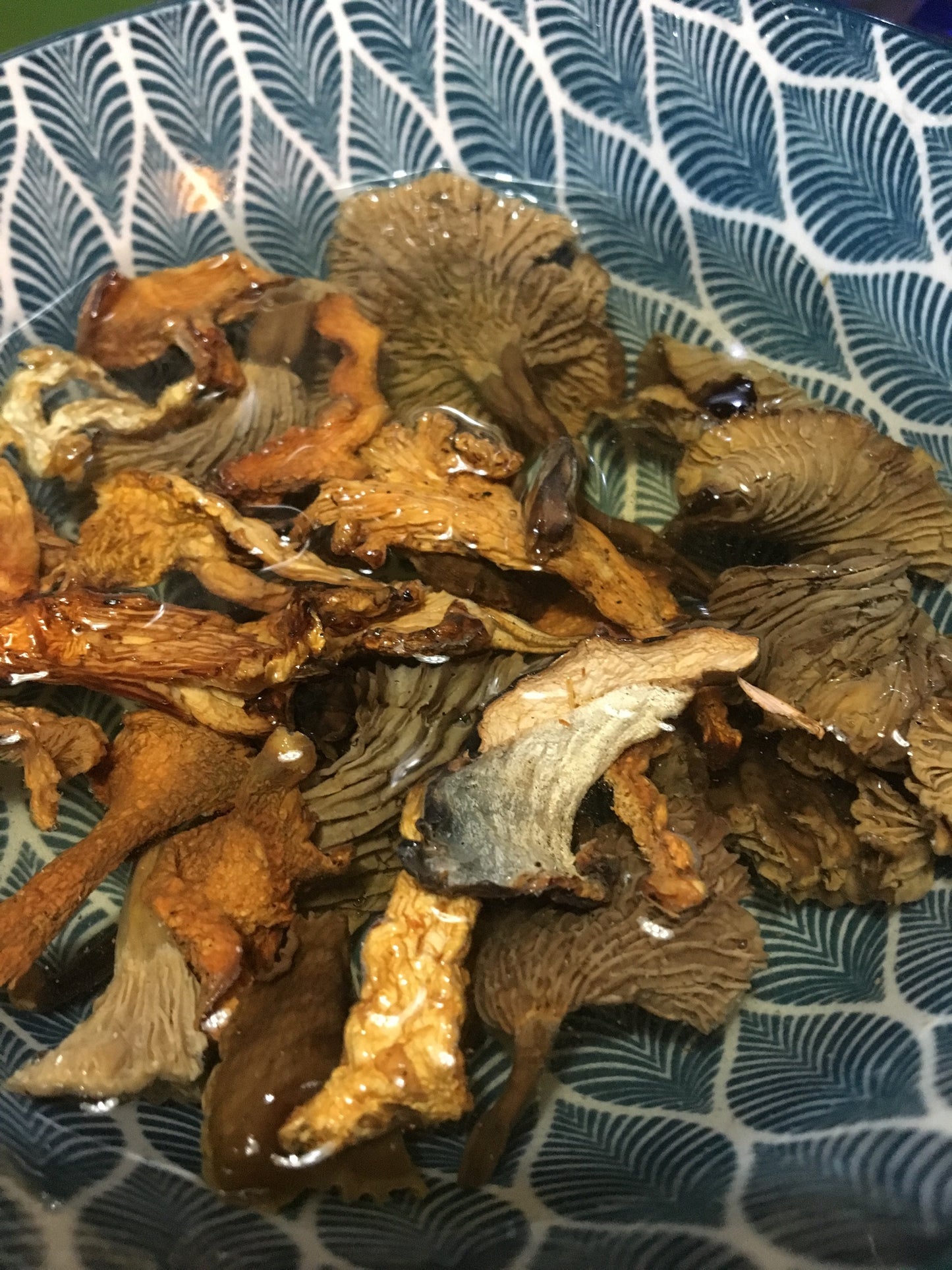 Dried wild mushroom forest mix - Diversified Farm