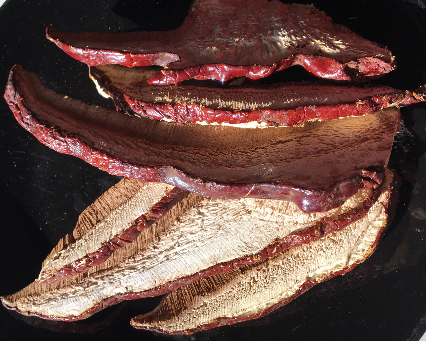 Dried reishi, reishi mushroom - Diversified Farm