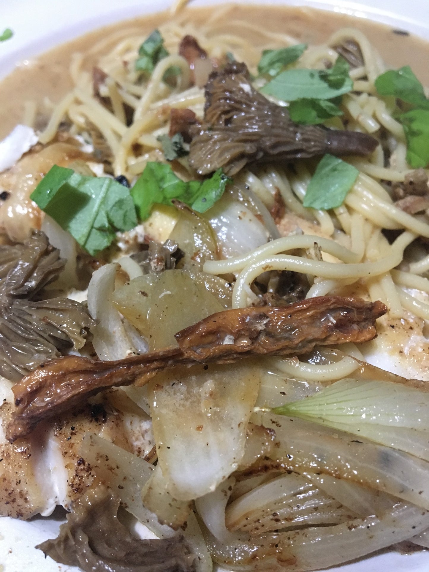 Dried wild mushroom forest mix - Diversified Farm