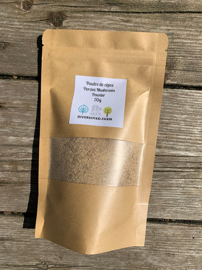 Wild porcini powder