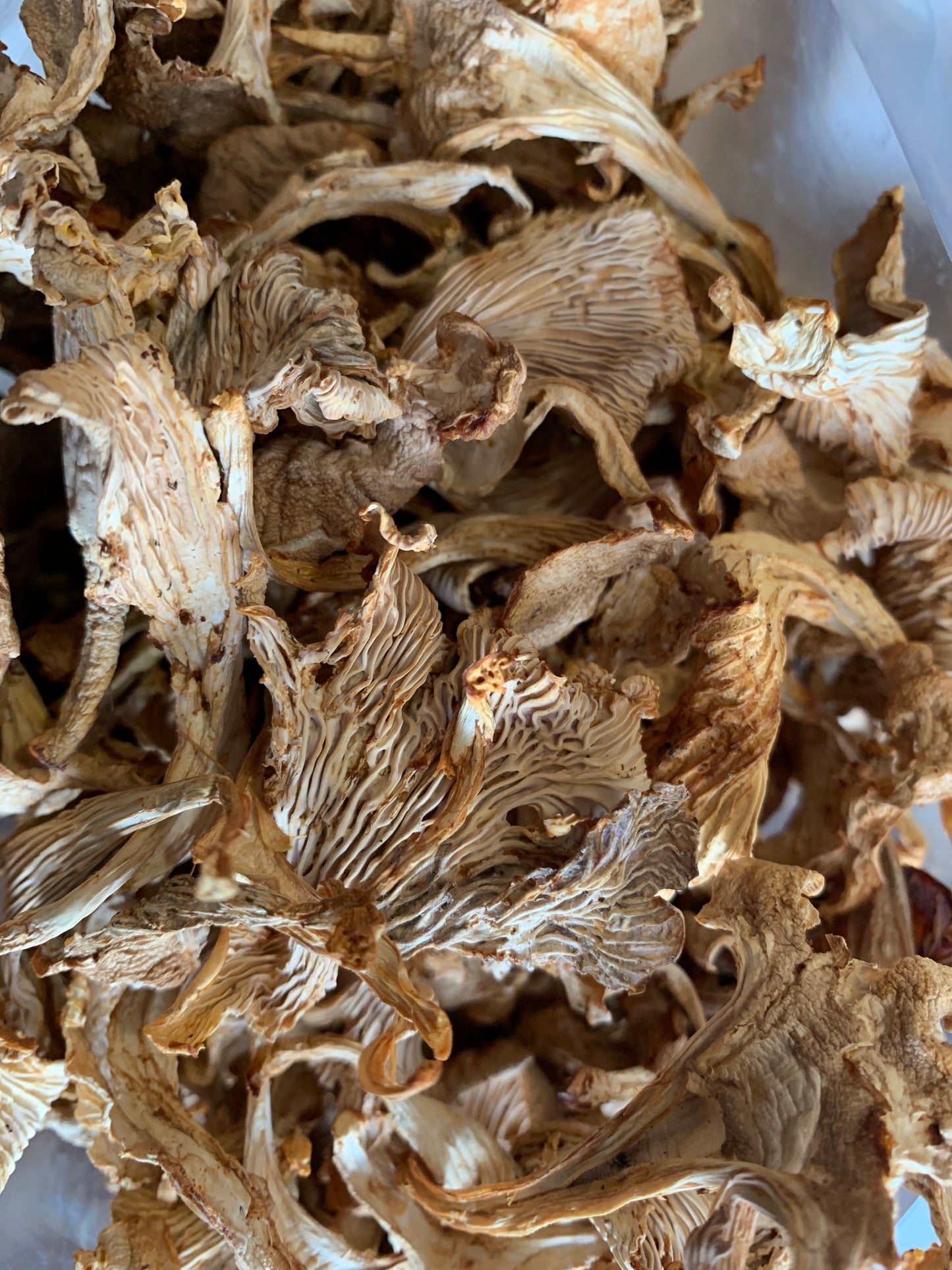 Dried wild chanterelle mushrooms