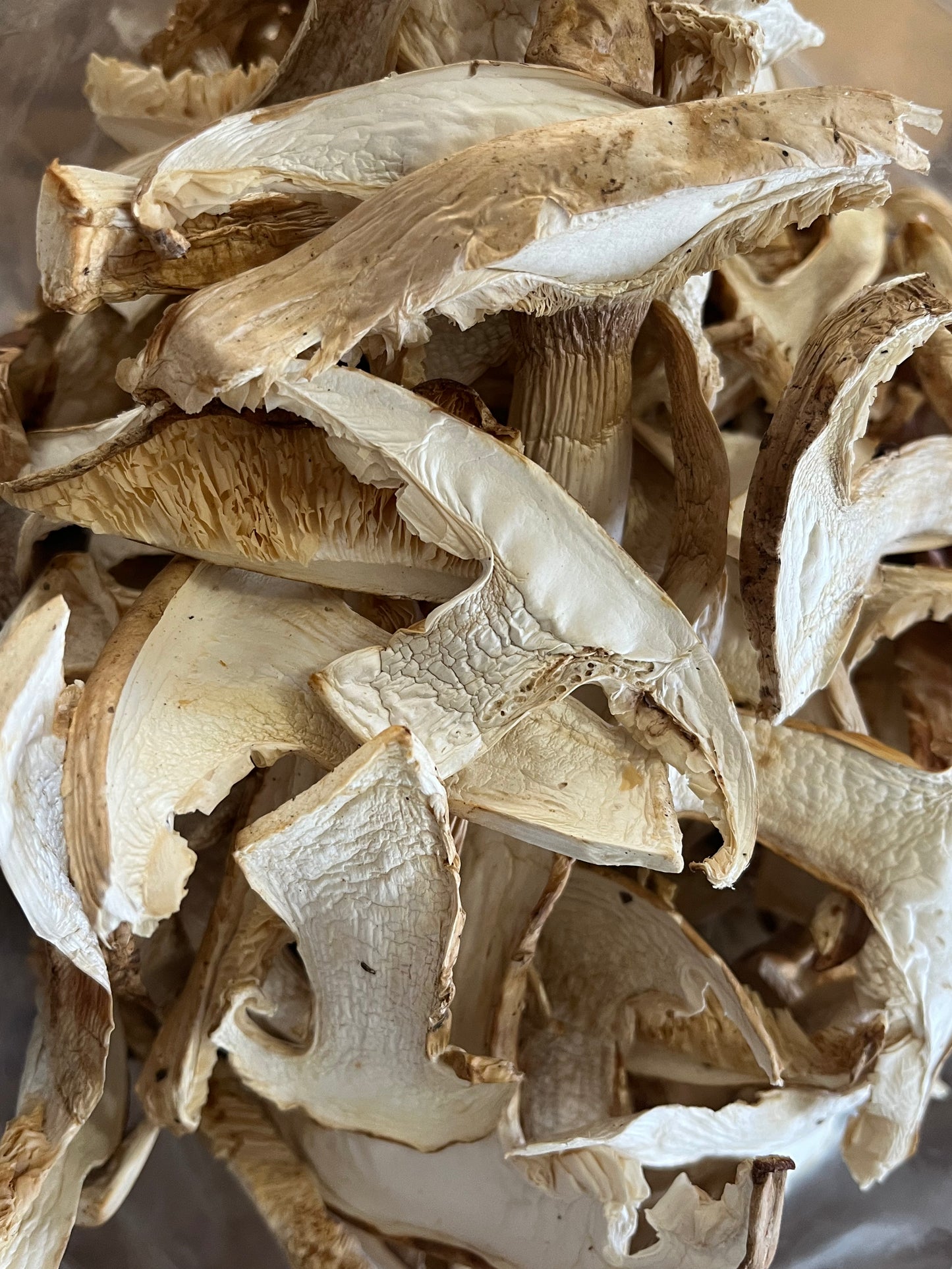 Dried wild matsutake mushroom - Diversified Farm 