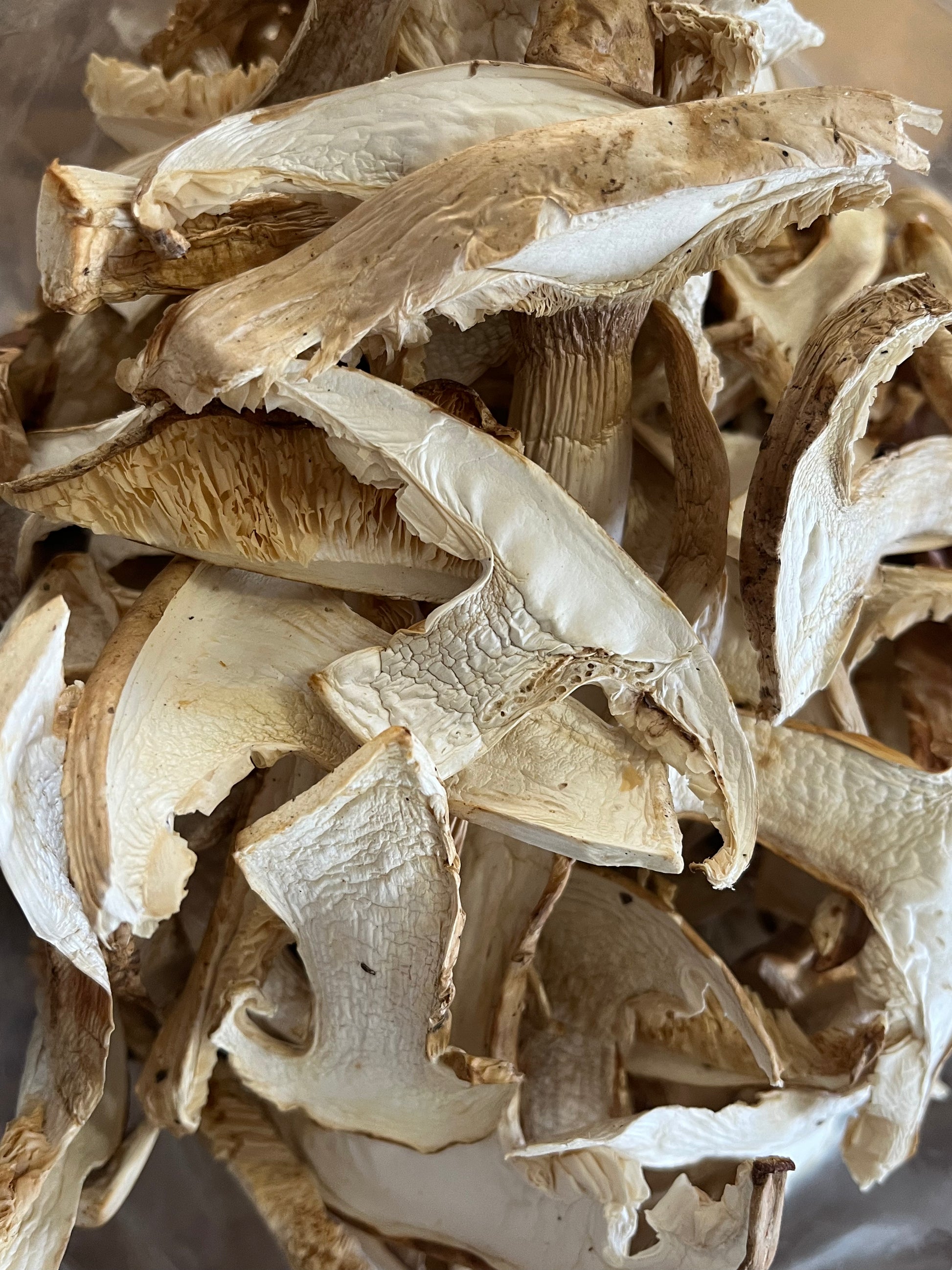 Dried wild matsutake mushroom - Diversified Farm 