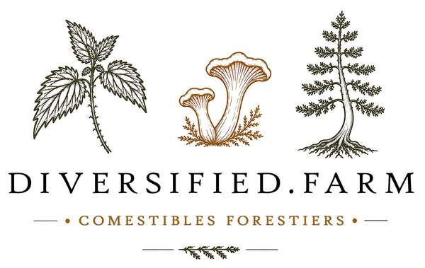 Diversified Farm 