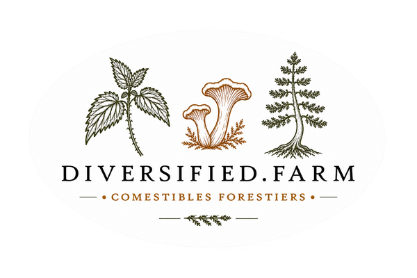 Diversified Farm 